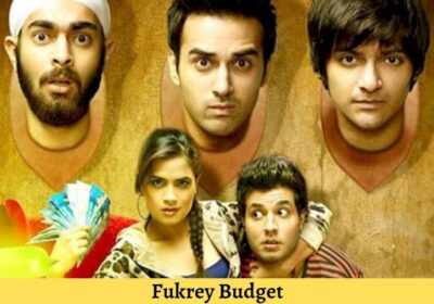 Fukrey Budget Budget, Box Office Collection Day Wise, Is Fukrey Budget Hit or Flop?